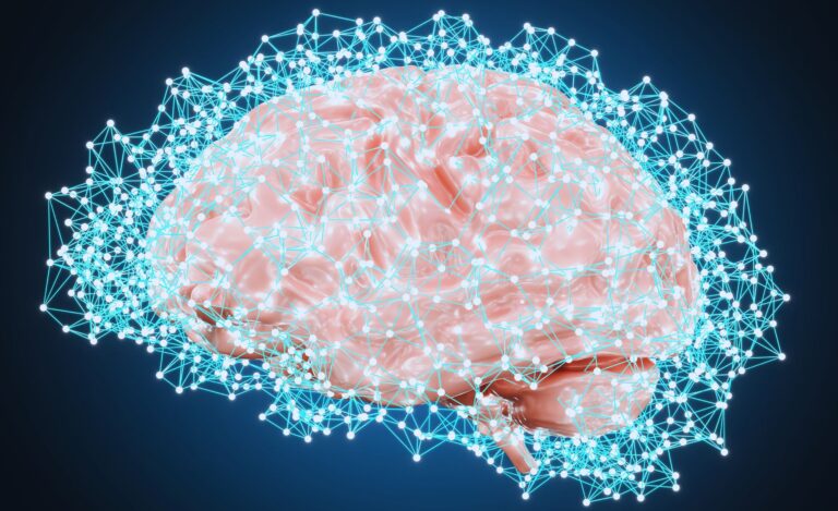 Eeg Test For Brain Maryland
